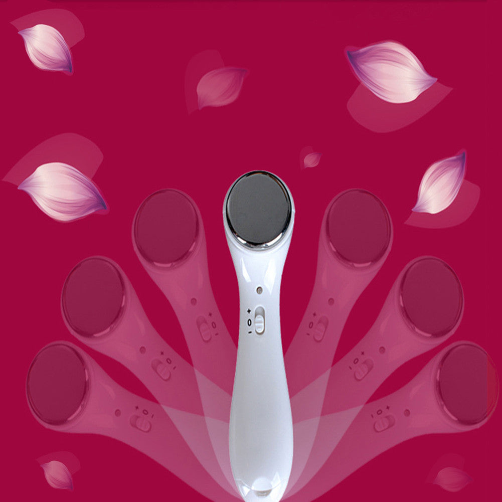 Electric facial cleaner - PicaPicaBeauty 